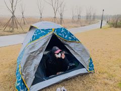 -春花秋色城市公园