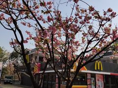 -昆明动物园