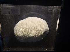 -同济大学四平路校区深海探索馆