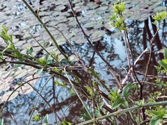 -盘龙城国家考古遗址公园