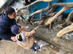 -华夏文旅海洋公园