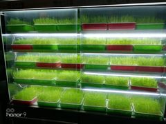 -番食园鲜食火锅(高新店)