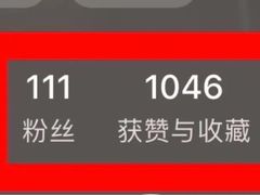 -HOWOW·D2Y(柏威年店)
