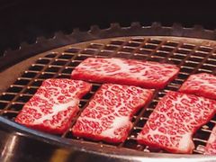 -火浪壹 by tigergrill(33小镇店)