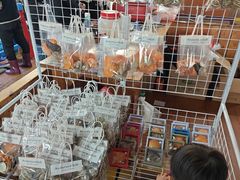 -蓝湾碧波·老字号·疍家非遗海上餐厅