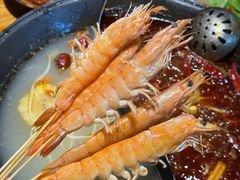 -阳阳老火锅(小南门店)