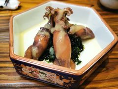 荧光鱿鱼-KITON喜豚(清晖园店)