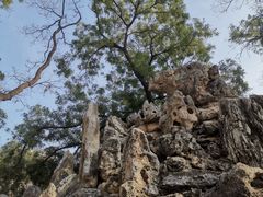 -张学良旧居陈列馆
