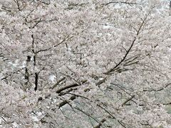 -杭州少年儿童公园