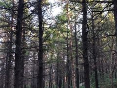 -白草畔自然风景区