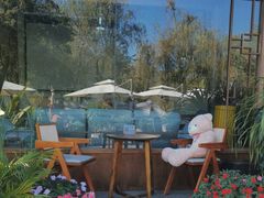 -YLK云南小粒咖啡·云里咖(二号店)