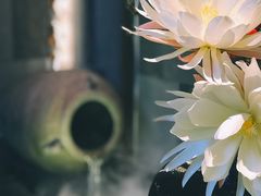 -湊湊火锅·茶憩(东城万达店)