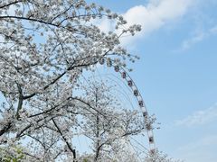 -上海月湖雕塑公园
