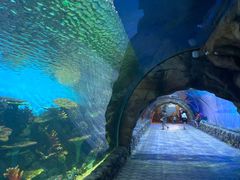 -华夏文旅海洋公园