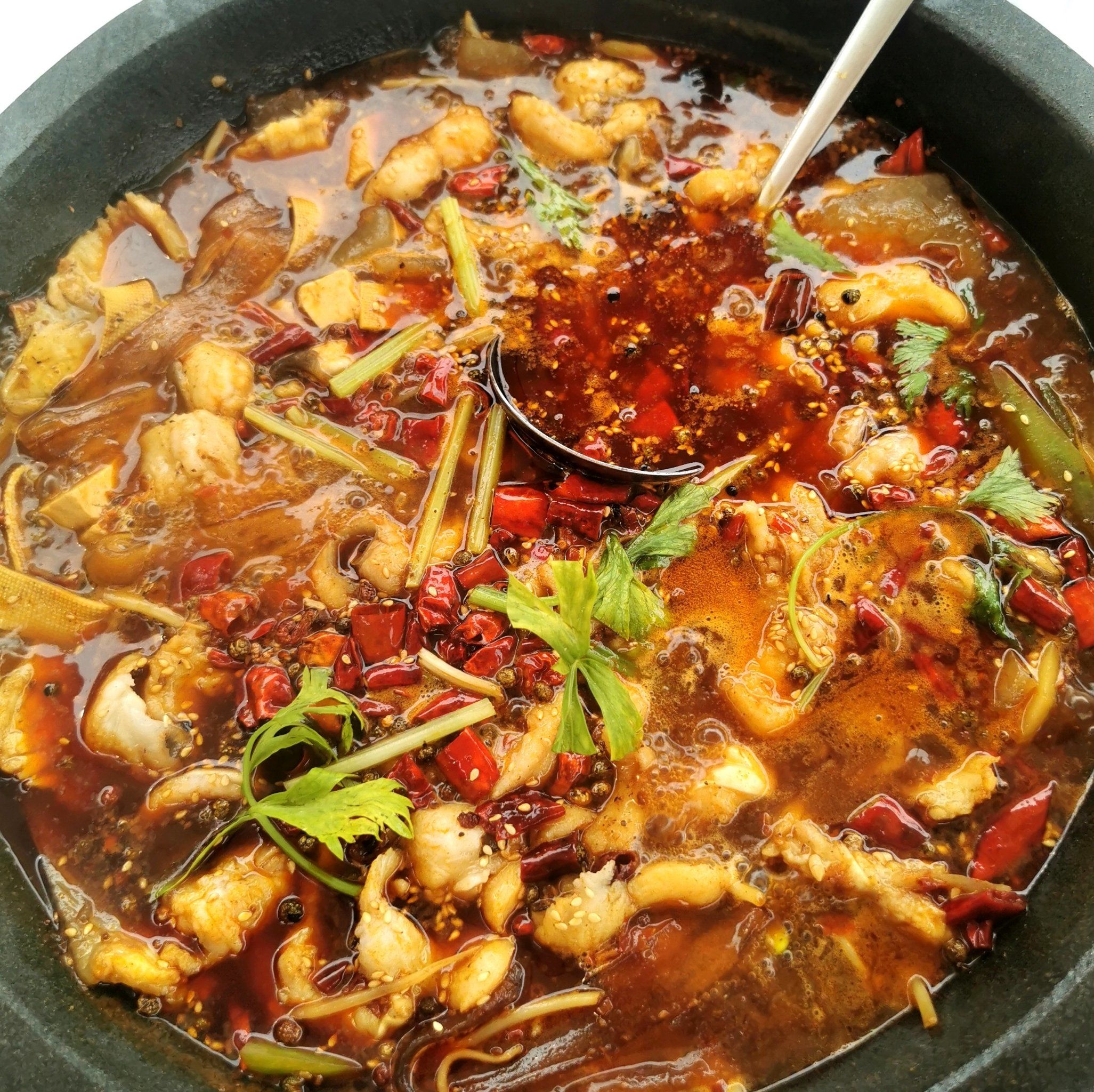 石锅鱼