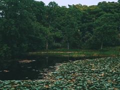 -长广溪湿地公园