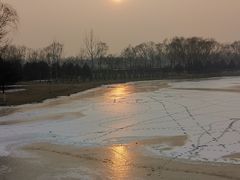 景点-大兴滨河森林公园