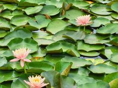 -白鹭湾湿地公园