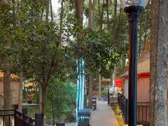 -二荆条·蜀鲜汇城市森林火锅