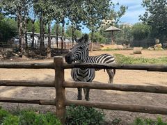 -大连森林动物园