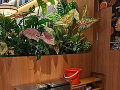 -云海肴汽锅鸡·云南小炒(天津国金汇店)