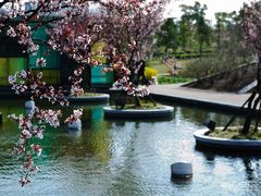 -白塘生态植物园