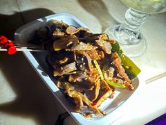 -CLUB VIVA(购物公园店)