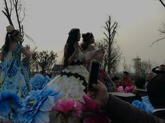 -荷兰花海