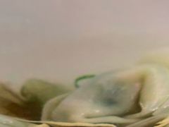 -知味观(湖滨总店)