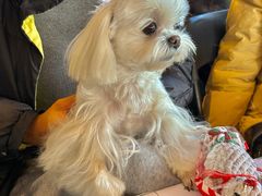 -昆山利星奔驰4S店(昆山店)