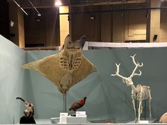 -国家自然博物馆