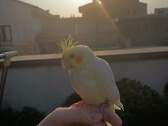 -雨林宠物医院 非犬猫异宠专科