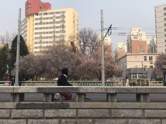 -北京中医药大学东方医院(方庄院区)
