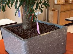 -Peet's 皮爷咖啡(海雅缤纷城店)