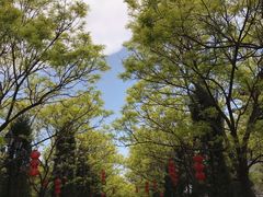 -大槐树寻根祭祖园