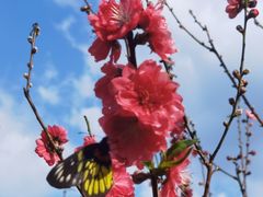 -水濂山森林公园