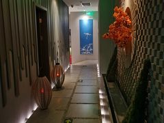 -Dragonfly 悠庭·按摩Spa(苏州中心广场店)