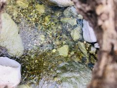 -黑河国家森林公园