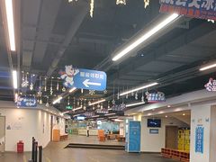 -世界之窗阿尔卑斯冰雪世界