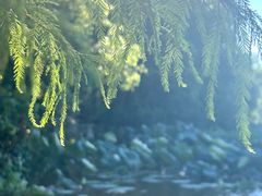 -艾溪湖湿地公园