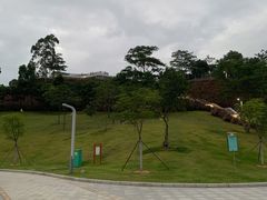 -白石龙音乐公园