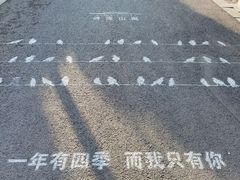 -清凉山国家森林公园