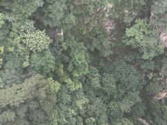 -狼牙山风景区
