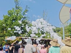 -杭州开元森泊度假乐园