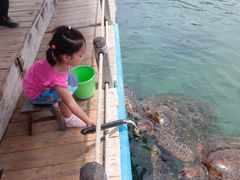 -海南分界洲岛旅游区