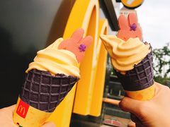 -麦当劳(北京金星西路店)