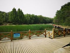 -云岗森林公园