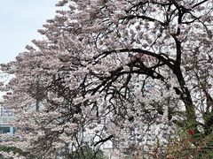-红星桥(地铁站)