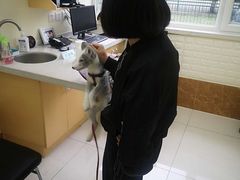 -美联众合动物医院·24h京西诊疗中心
