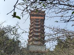 -塔子山公园